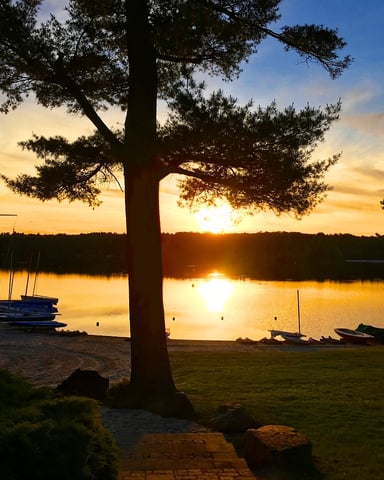 Sunset over calm lake with sailboats moored near shore, framed by large tree and grassy beach
