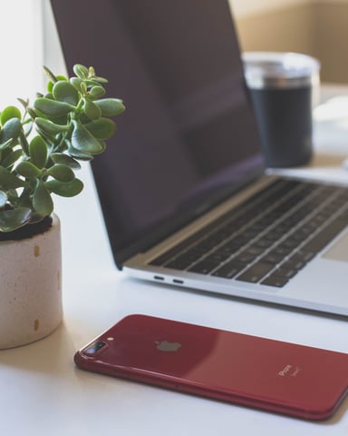 Desk workspace with succulent plant in white pot, red smartphone, laptop, and beverage