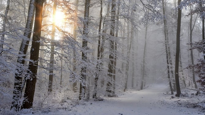 Things to Do in the Poconos in the Winter for a Visit