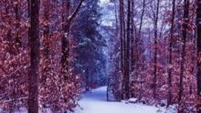 Brr, Its Cold! Come Enjoy a Poconos Winter Getaway!