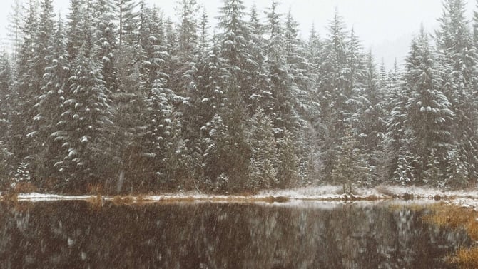 YAY!!! MORE WINTER!!! -