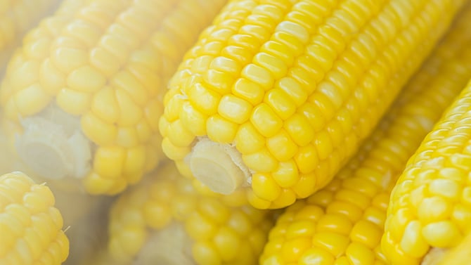 Sweet Corn and BBQ Festival