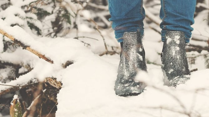 Snow In The Poconos Has Arrived!