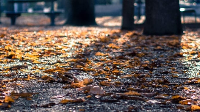 The Best Things to Do in the Poconos in the Fall
