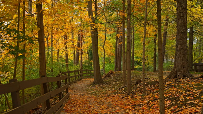 Fall Getaways in the Poconos: Why September & October Shine