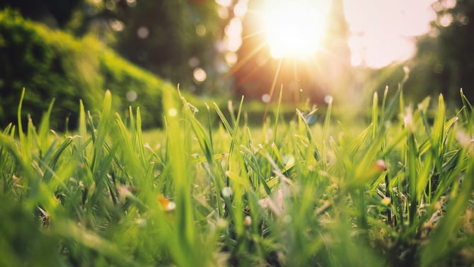 Preparing Your Pocono Vacation House Rental for Spring -