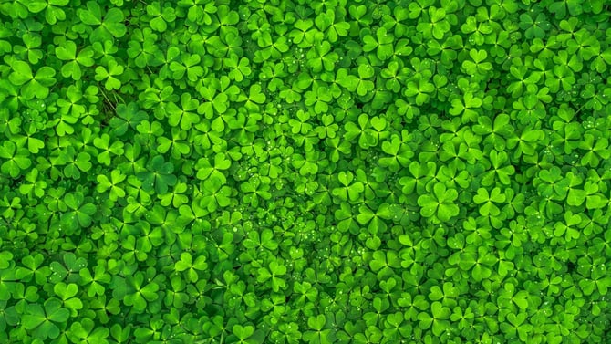 Poconos St Patrick’s Day 2020