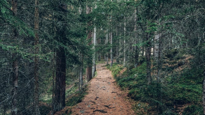 Pocono Mountain Hiking Trails Safety Tips
