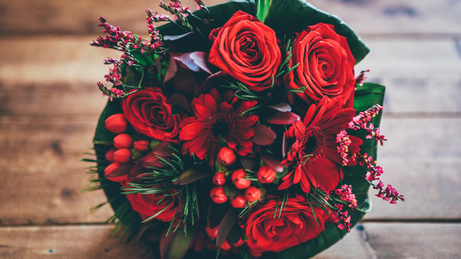 Romantic Valentine's Day Lake Harmony Activities