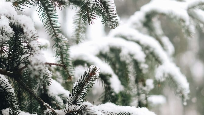 Plan Your Poconos Winter Getaway