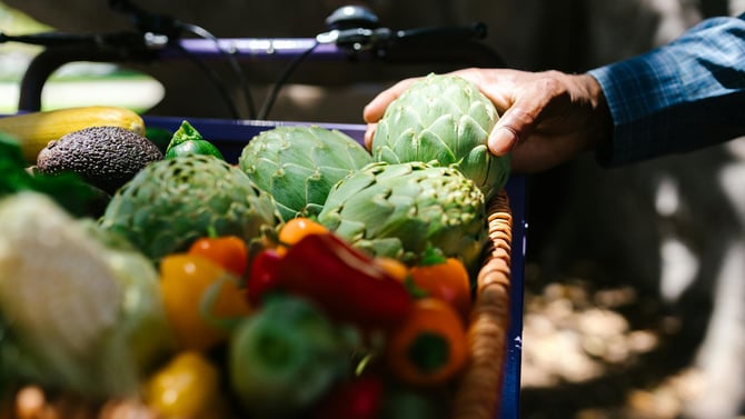 Check Out a Pocono Farmers Market or Flea Market