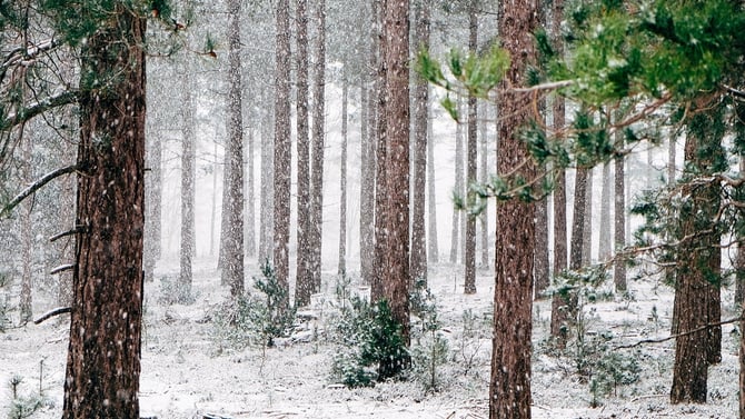 Bundle Up, a Chill Is In The Air During Your Poconos Winter Vacation!