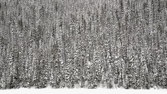 Plan a Poconos Winter Visit