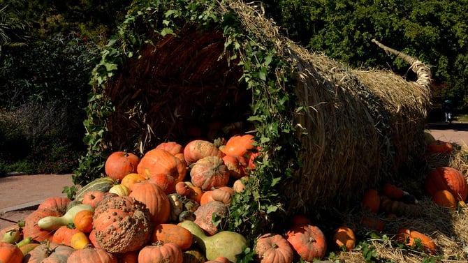 Poconos Autumn Harvest Bounty = Good Eating!