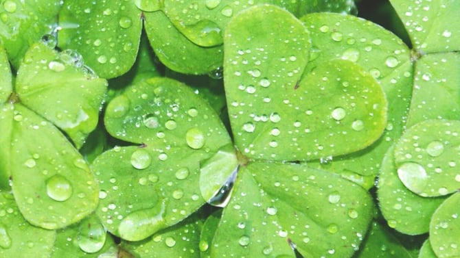 Everyone is Irish This Weekend with Poconos St Patrick's Day