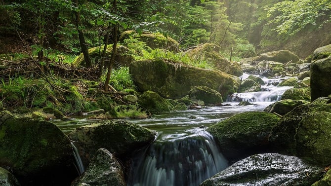 Promised Land State Park
