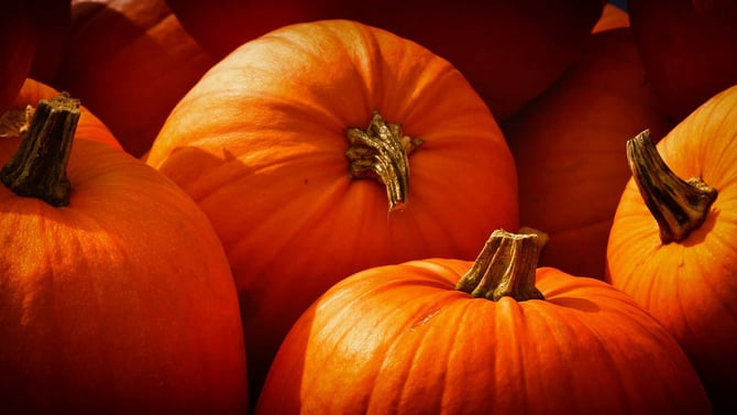 The Great Pocono Pumpkin Festival