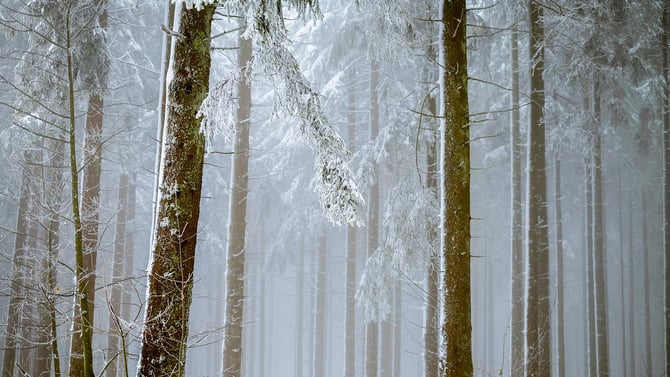 Bbbrrrrrrrrrr! It's A Chilly Pocono Mountains Winter is Coming!