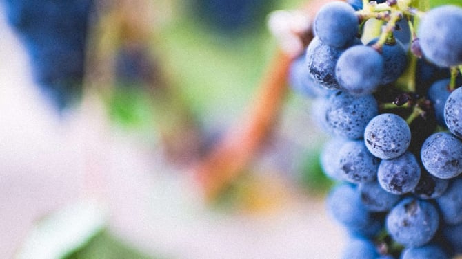 Pocono Wine Tours