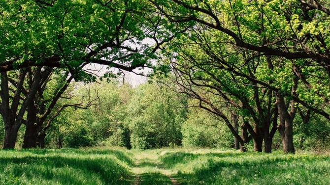 The Poconos in Spring: Finally, Spring is Here!