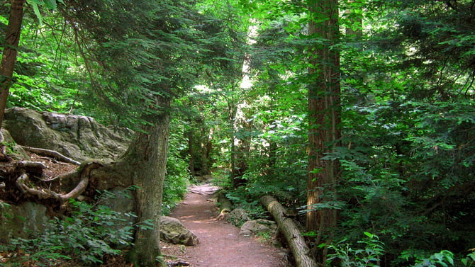 Pocono Environmental Education Center