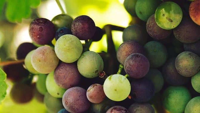 2016 WINE AND FOOD FESTIVAL AT SPLIT ROCK -