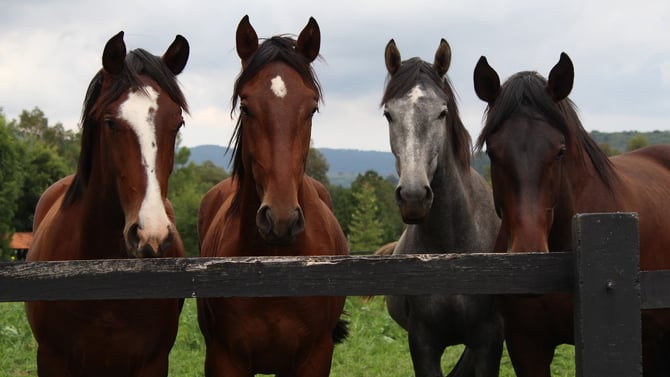 The Best Outdoor Activities in the Poconos! -