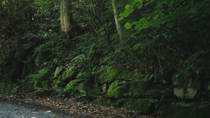 Poconos Lodging for Solo Travelers