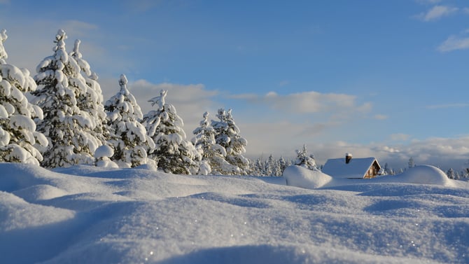 Winter Vacation Cabins
