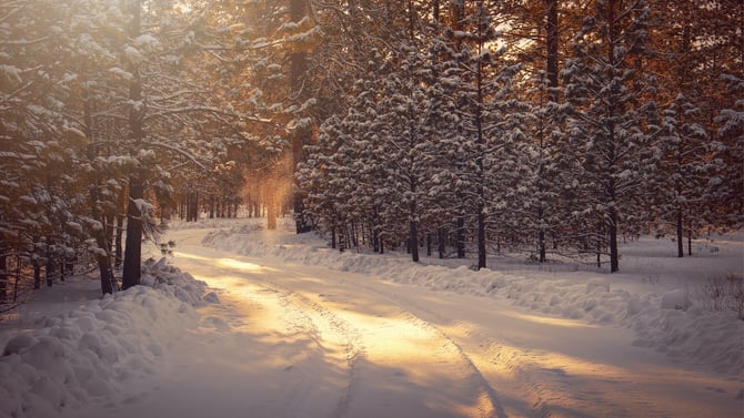 Winter Vacation Homes