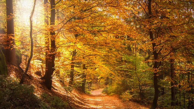 Big Pocono State Park
