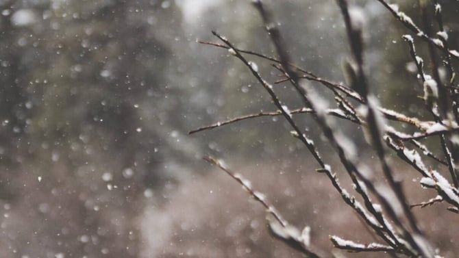 Love is in the Air During the Snowy Poconos Valentine's Day