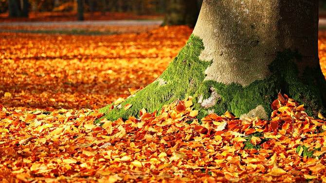 Fun and Relaxation This Pocono Mountain Fall!