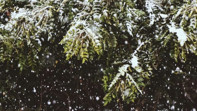 Experience Pocono Mountain Winter Activities