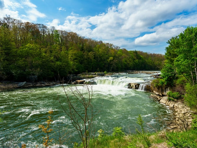 Ohiopyle waterfall rushing over rocks through a green Pennsylvania forest